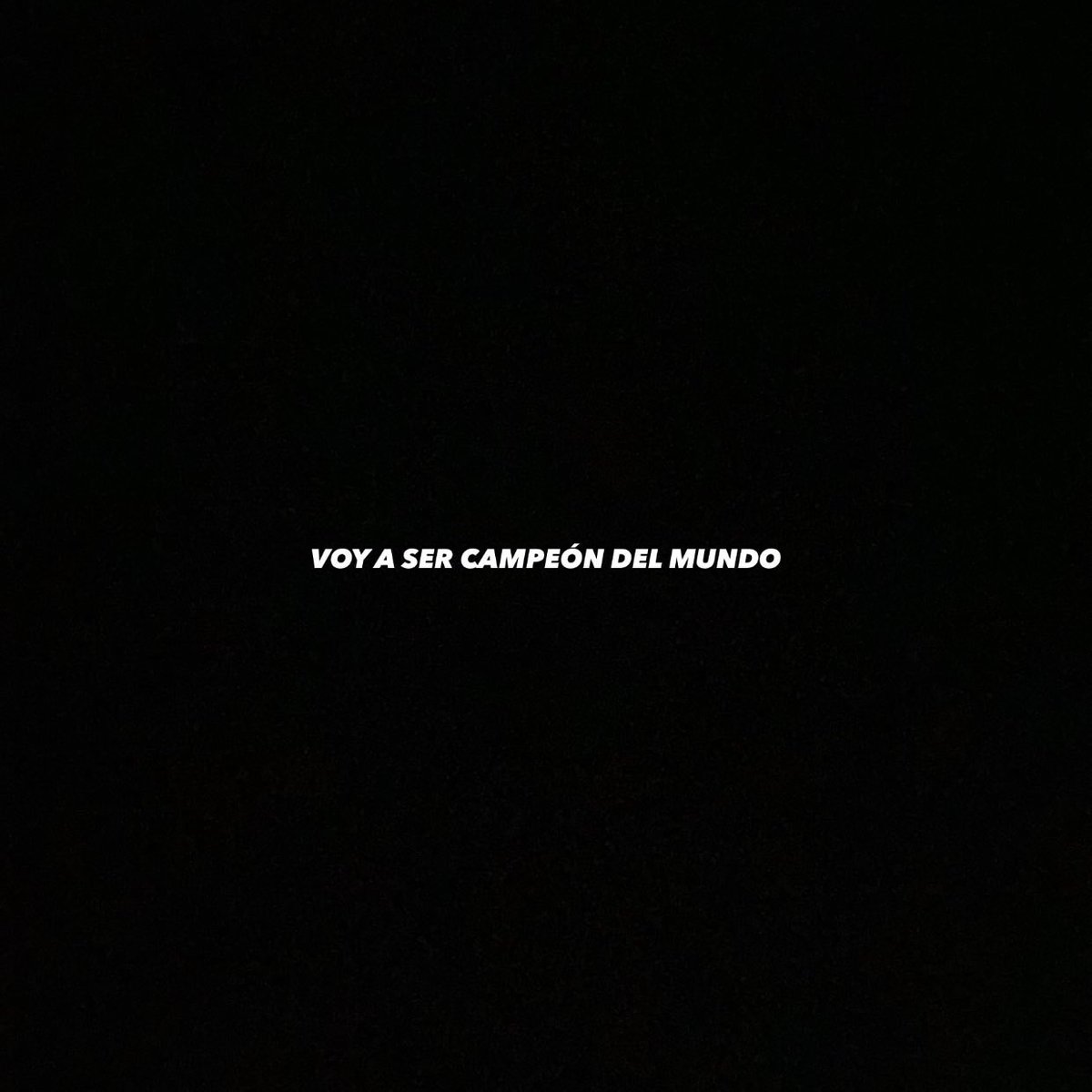 sandormartin's tweet image. 