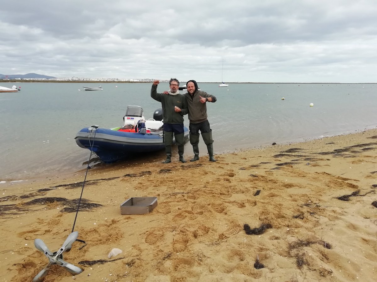_JoseAAlves_'s tweet photo. One more day of #SIBES_formosa Spetacular views both at landscape scale & inside the sieve (diversity of #macrobenthos is quite impressive).
#biodiversity #conservation #ornithology #shorebirds
@eco_flyway @GlobalFlyway @CESAM_Univ @UniAveiro @CienciasDoMar @NIOZwdrc https://t.co/B2qKvnBP1B