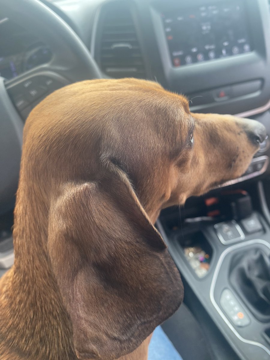 Hopping in the car 🚗💨 for a Friday French Fry treat!  🍟 
#parkersplayground #FridayFeeling #fridaytreat #frenchfrieslover