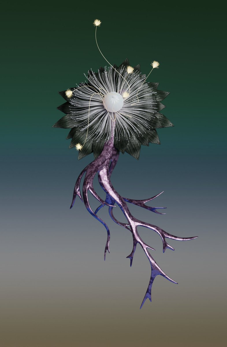 DŌMU 童夢 ⭕✨ tweet media