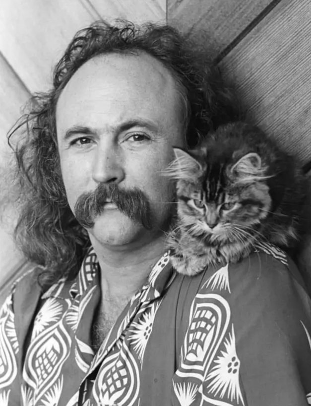Top story: @Godzmazter: '#GodzWeedz

I'm finally gonna say something. 

A hippie died and that fk'in  sucks. David Crosby liked a tweet of mine once which made me smile. Fuck, maybe he smiled .. 
I think we would all be… , see more tweetedtimes.com/GanjaGadfly?s=…