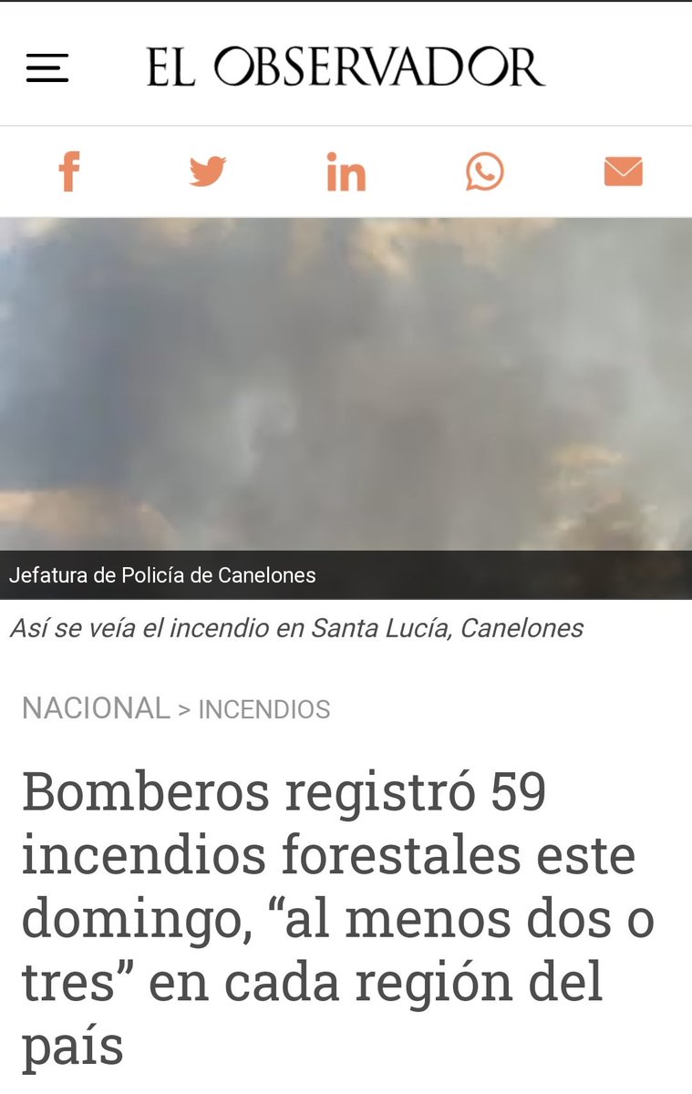 Roberto86897681's tweet photo. @sebas166019 Miles de uruguayos sufriendo por perder su trabajo, animales que se mueren de sed o quemados, muchos combatiendo incendios, muchos perdiendo sus hogares, pero el está preocupado por el carnaval, así son... https://t.co/bvFfROpqIf
