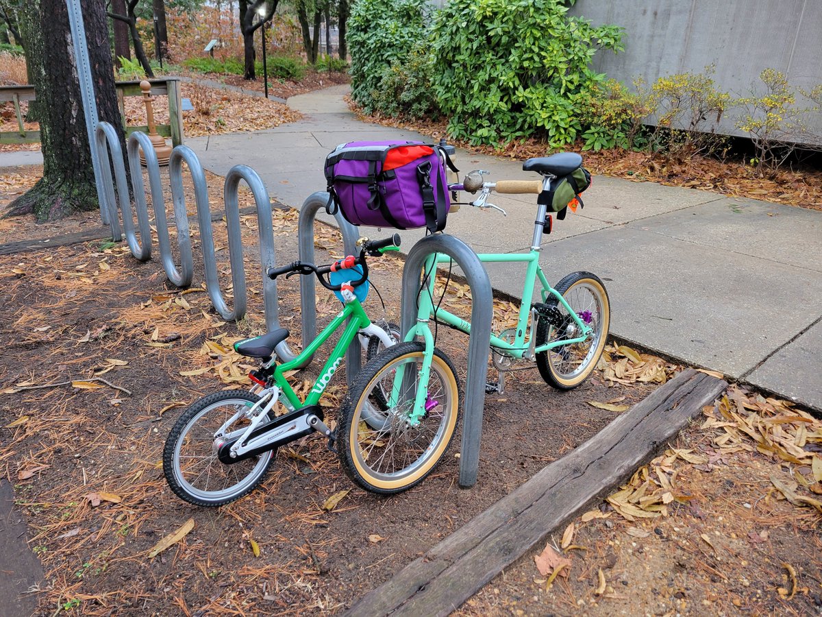 Big Velo Orange X Road Runner Bags restock, including 2 new colors: Lime Green and Purple!

mailchi.mp/velo-orange.co…]