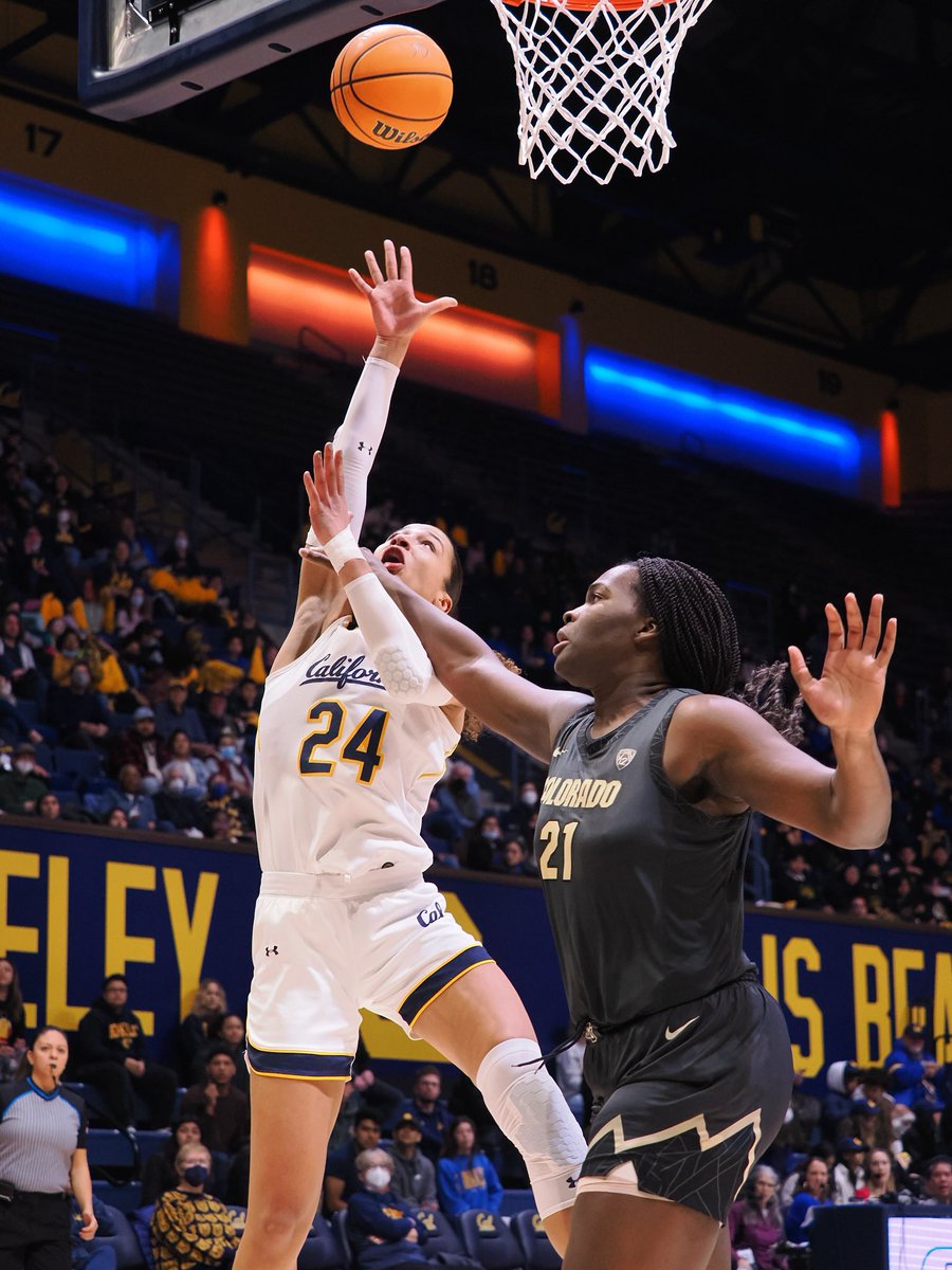 Cal Basketball tweet media