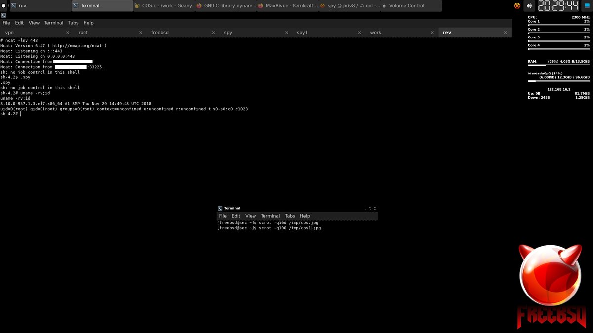 this new vuln, is pretty cool actually (x