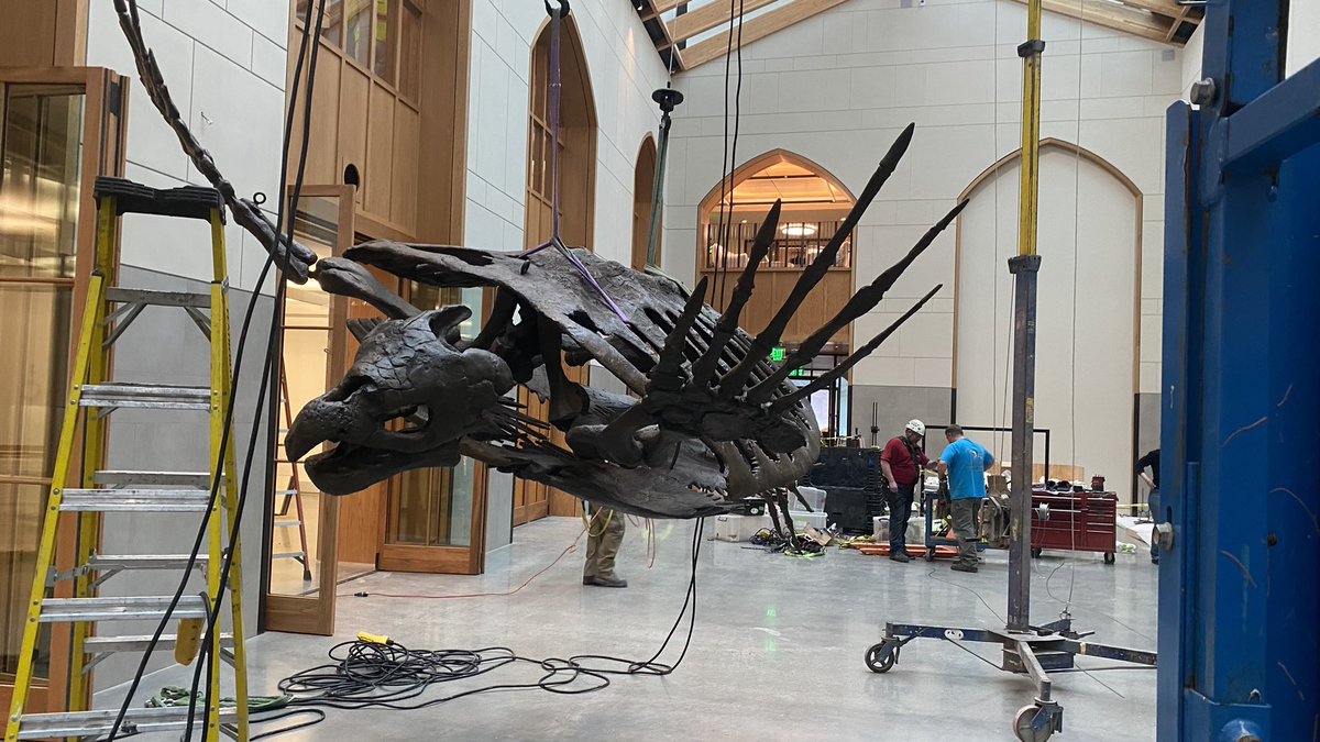 Yale Peabody Museum tweet media