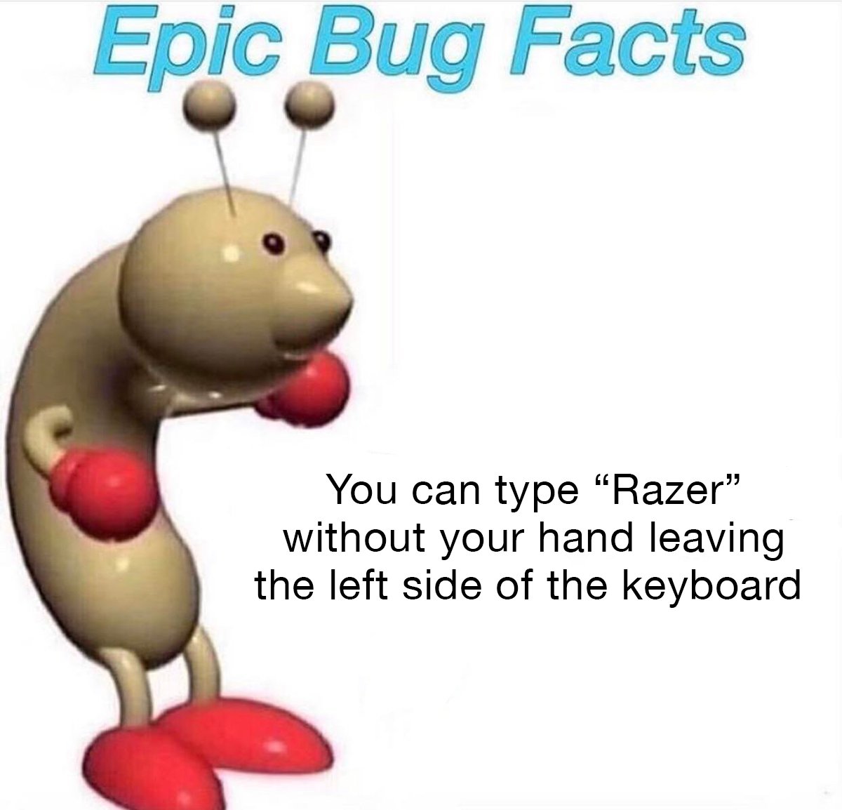 R Λ Z Ξ R tweet media