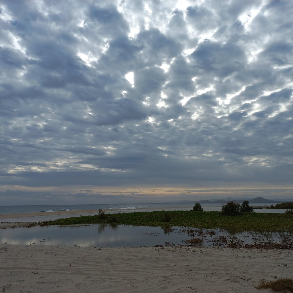 Alex Rousseau tweet media