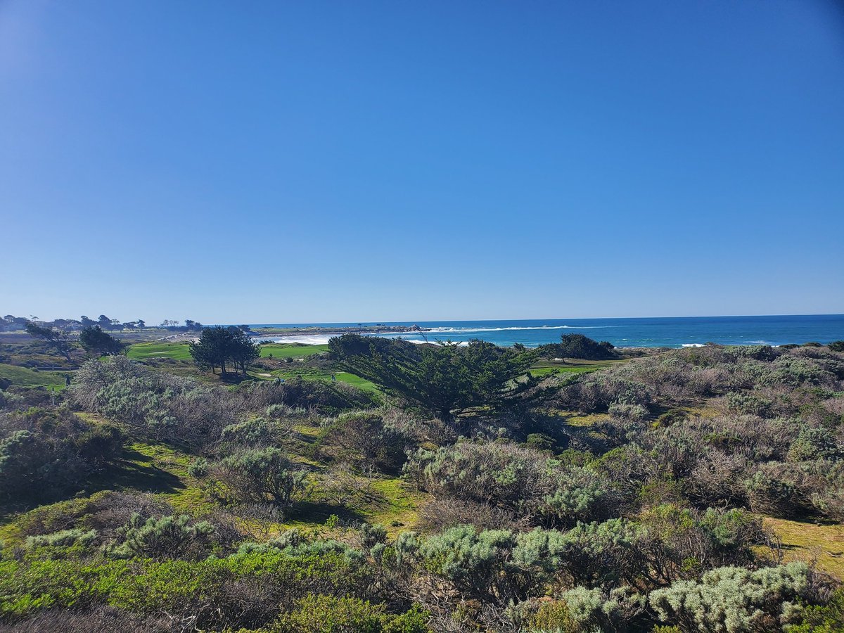 WatZilla tweet media