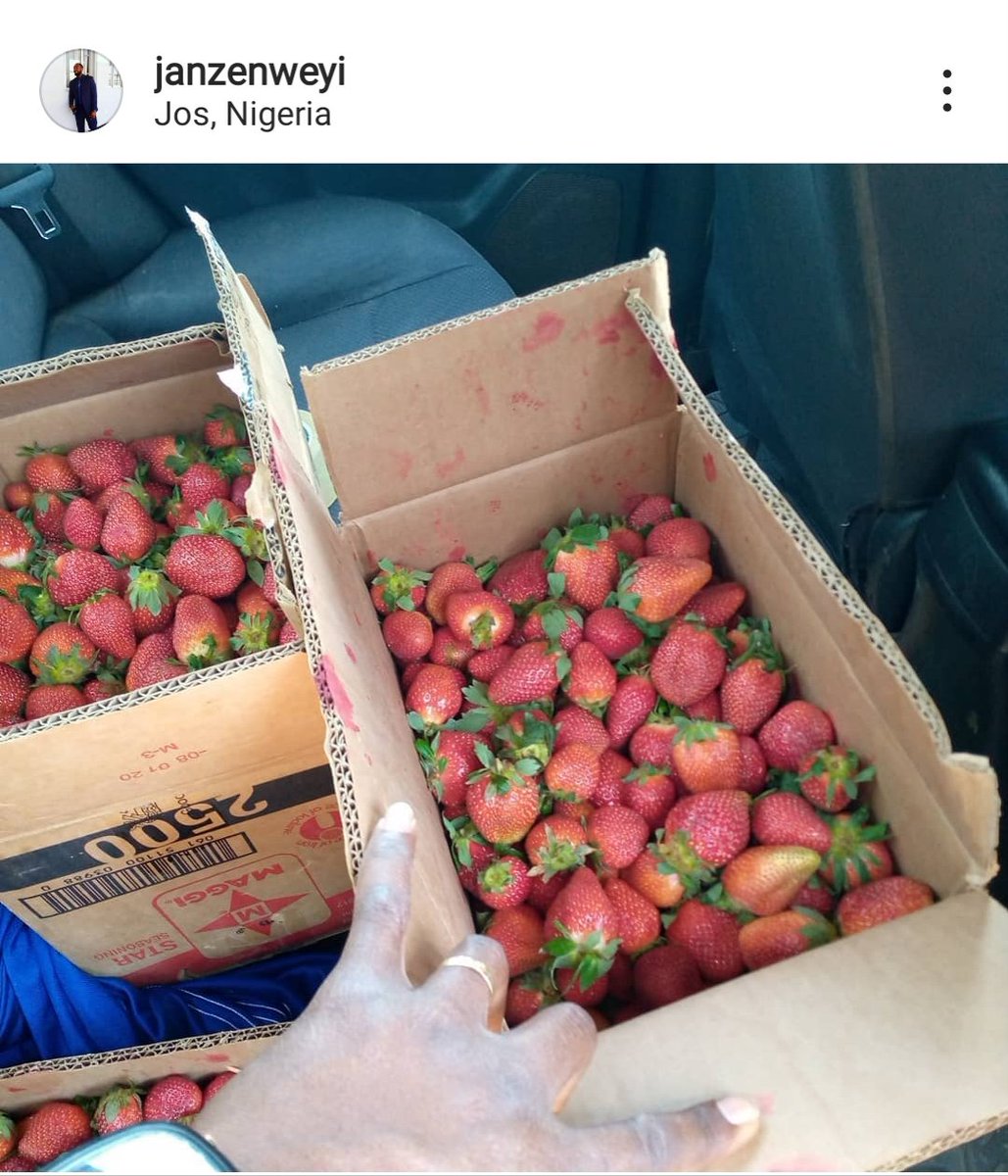 janzenweyi's tweet photo. PortHarcourt people, I want to start bringing my produce from Jos, not sure of the market, due to the perishable nature. Any better connect to supply in large quantity? https://t.co/eNCt97wsX1