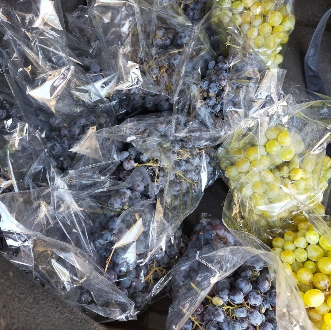 janzenweyi's tweet photo. PortHarcourt people, I want to start bringing my produce from Jos, not sure of the market, due to the perishable nature. Any better connect to supply in large quantity? https://t.co/eNCt97wsX1