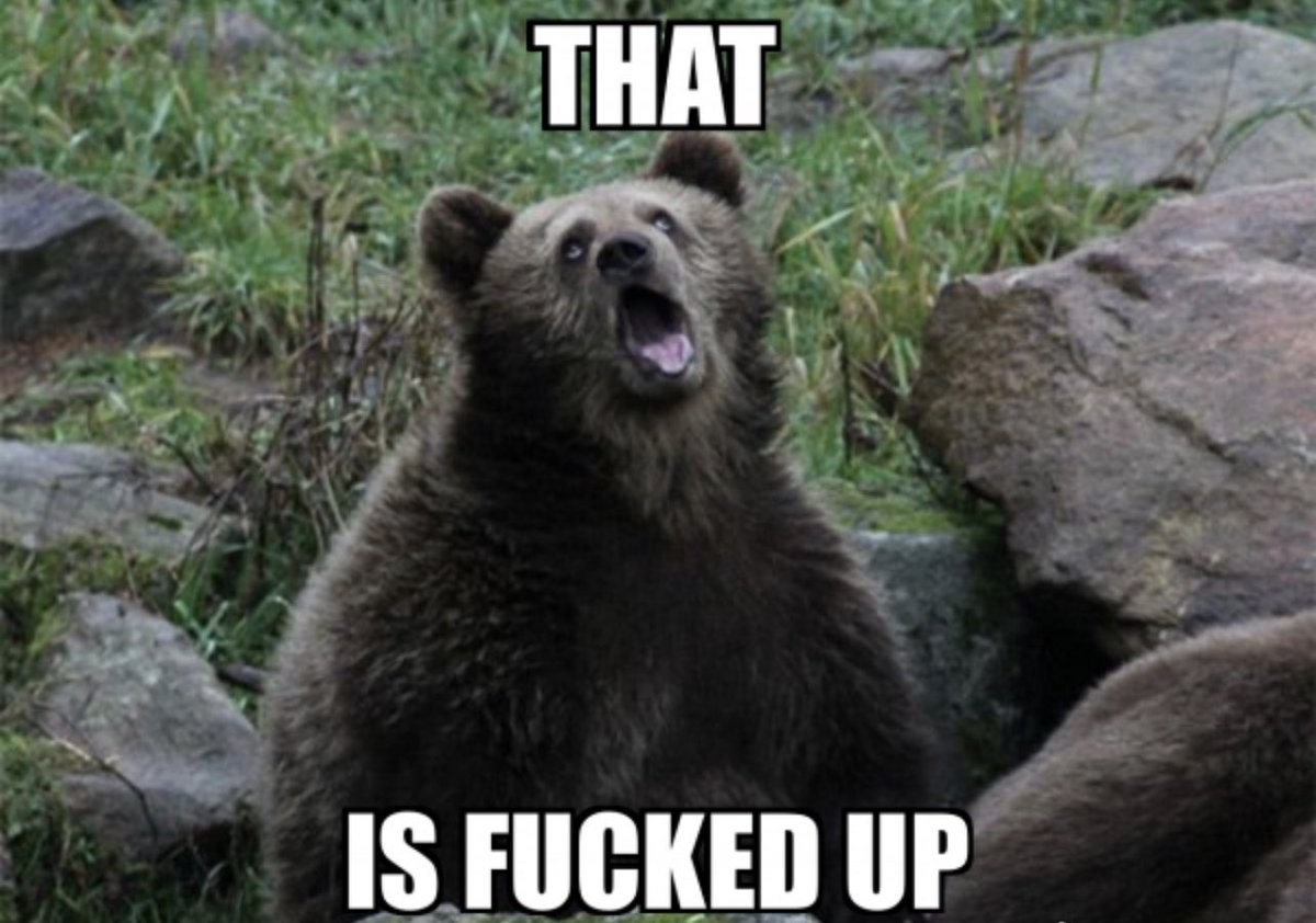 Dumb bears like <a href="/CryptoCapo_/">il Capo</a> be like..