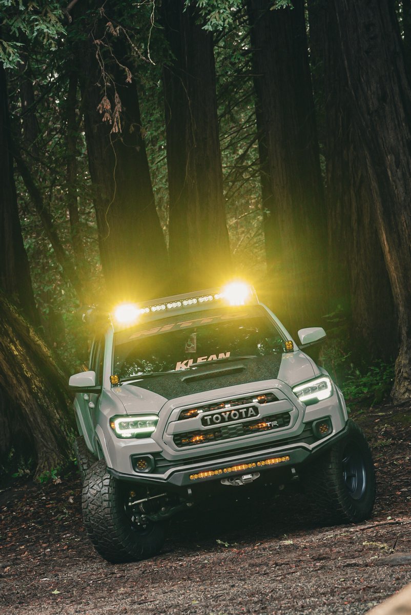 Cali Raised LED tweet media