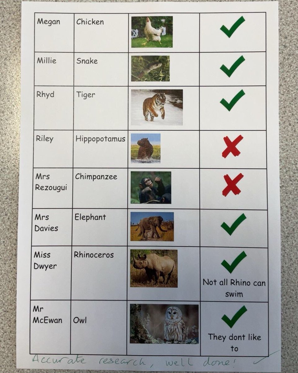 islwynsrb's tweet photo. ‘All Creatures Great and Small’ continued in Sirhowy this week. We wanted to learn which animals can swim, designed our clay crocodile models and wrote newspaper reports based on the Three Little Pigs, but with a twist… #childleadlearning #lovingthetopic https://t.co/k6jH8qfcpk