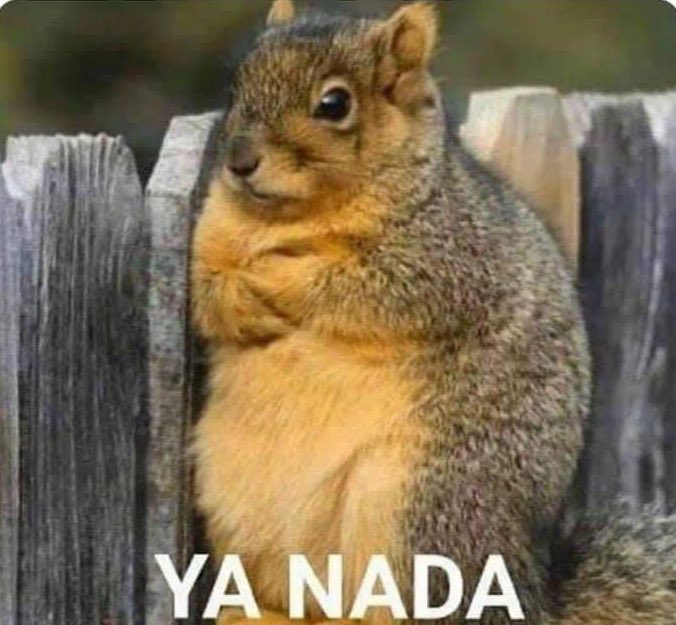Guarromantico_'s tweet photo. Cuando le ando contando algo a mi amorcito y no me pone atención. 

Mi amorcito: ¿Qué dijiste mi amor?
Yo: https://t.co/migx8Empgj