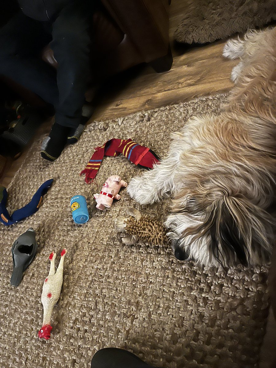 Mummy doesn’t seem to understand I neeed  to get lots of toys out. It’s hard to decide what to play with.