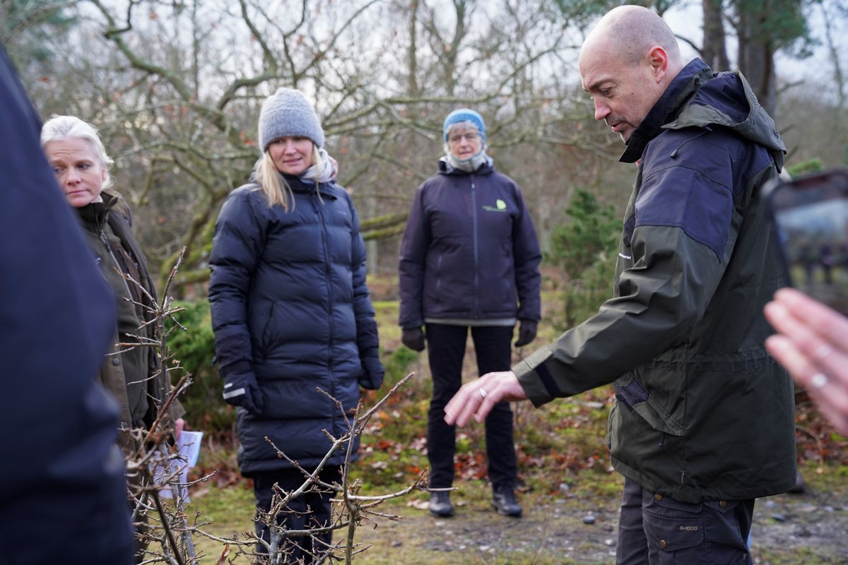 ida_ndergaard's tweet photo. .@DanmarksNatur havde i dag @Heunicke med til fantastiske Ulvshale på Møn som bliver naturnationalpark lige straks. En fornøjelse af se ministerens naturbegejstring🪲🦋Der ligger mange vigtige opgaver på ministerens bord og vi glæder os til samarbejdet💚#dkpol #dkgreen #dkvild https://t.co/WU9o66hqnZ