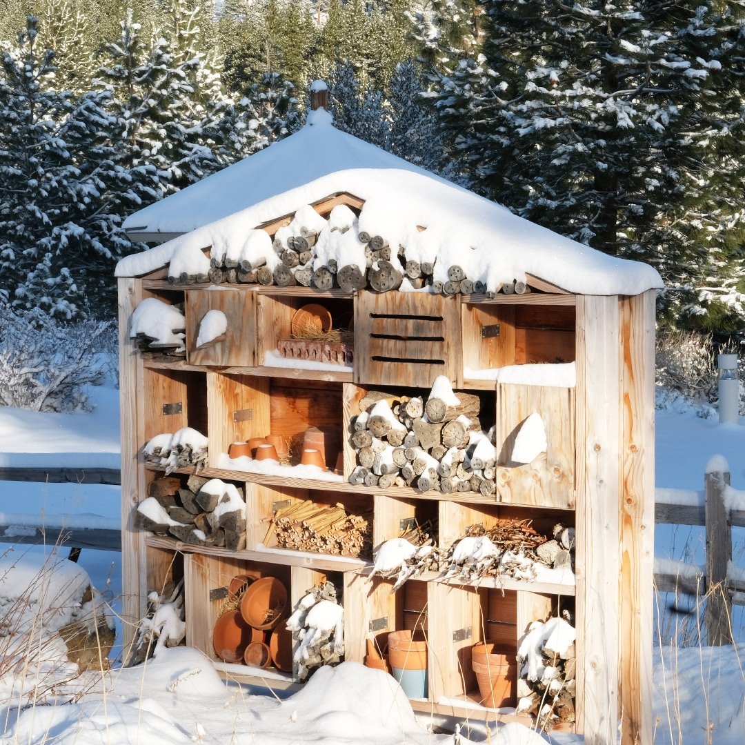 Great Basin Institute tweet media