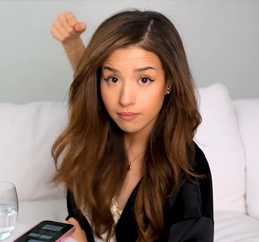 Poki Bruh ඞ on Twitter "Poki's always ready to throw hands 👊"