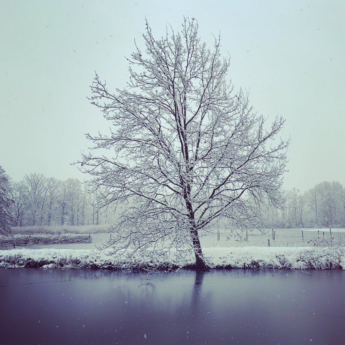 Winterwonderland vandaag ❄️