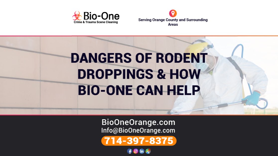 BioOneOrange's tweet image. Rodent droppings can pose a serious health hazard. If you have rodents in your home, it's important to have any residue cleaned up as soon as possible!

📰 Our latest blog: loom.ly/eWO6BGk

#bioone #orange #orange #blog #biohazardcleaning #housetips