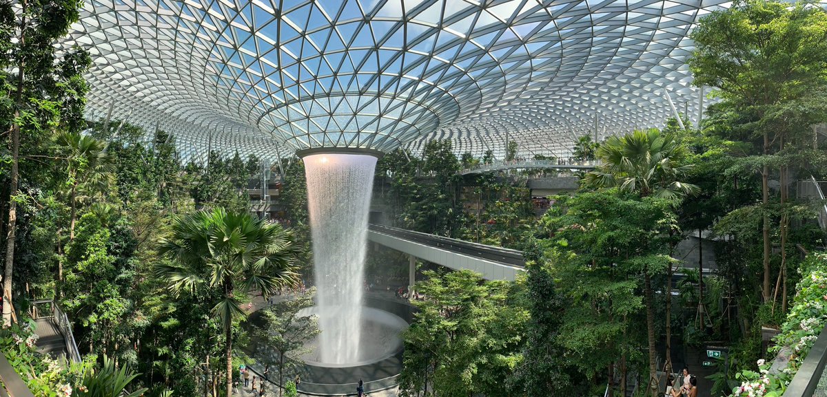 Raiz Vertical Farms tweet media