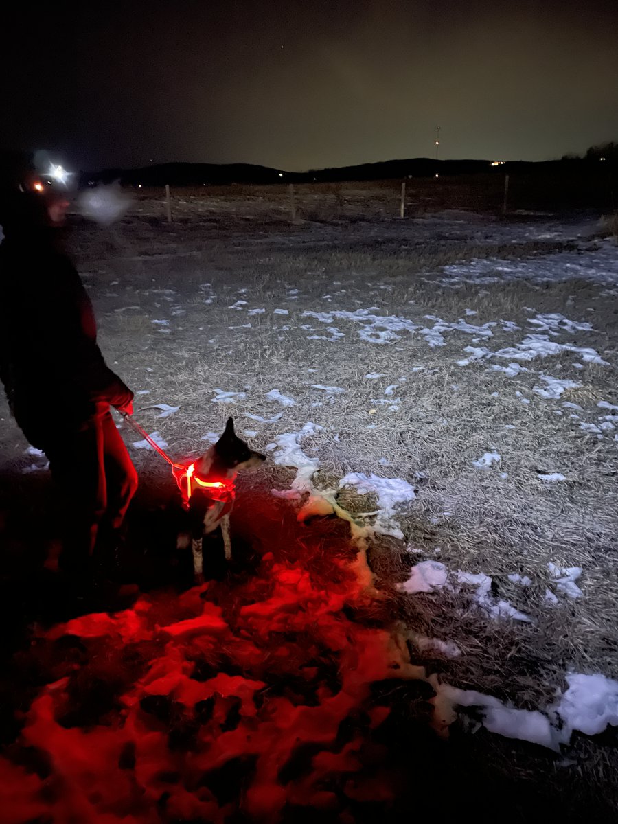 Fantastic night meeting with members from the Search and Rescue Dog Association of Canada - SARDAC. Having highly trained canine assistance on a search increases the probability of a subject being located quickly. Great to meet you all and hope to work with you soon!