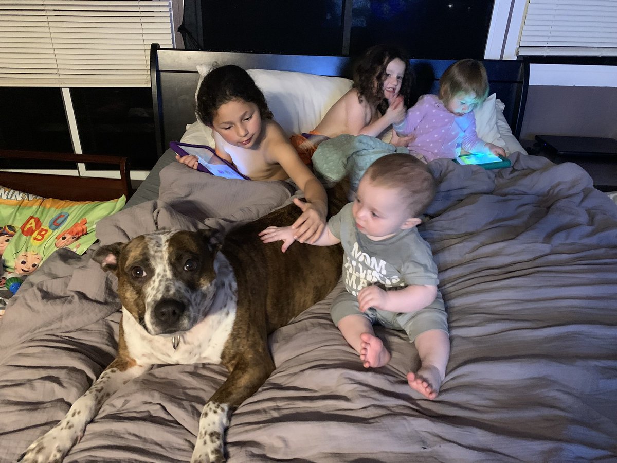 Marc Klang tweet media