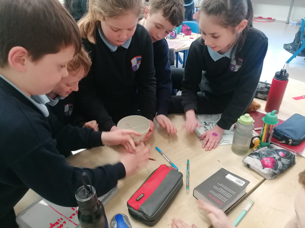 4th class have been exploring sound and how our ears work 🥼👂