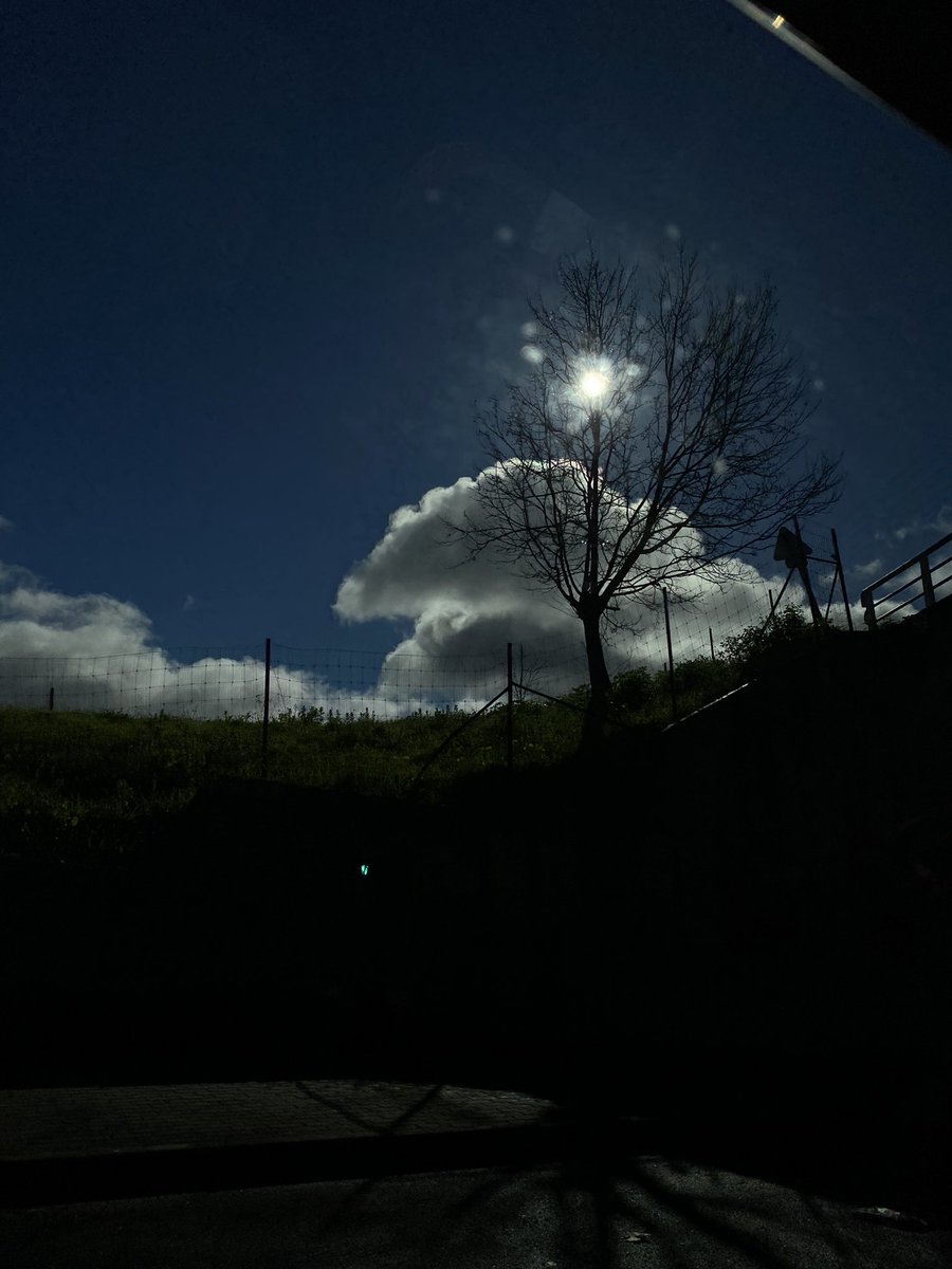 Lazy Friday #Lisbon 🫠