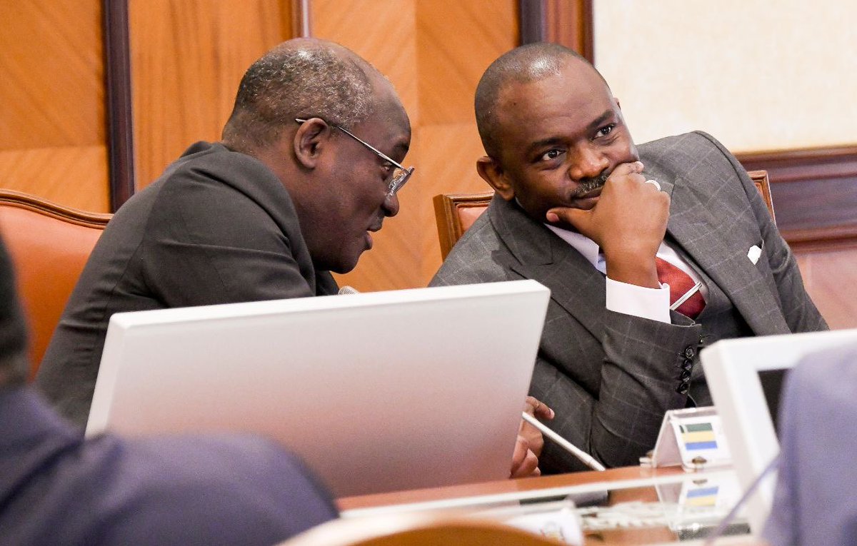 Durant le conseil des Ministres de ce vendredi 20 janvier 2023, nous avons pu faire adopter le projet de loi portant statut de l’artiste et de l’acteur culturel en République Gabonaise… un petit pas après un autre, nous y arriverons !