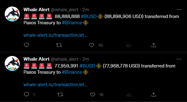 CreditCardColby's tweet photo. @Ninjascalp Steady lads... https://t.co/RcpZ8ZZY8A