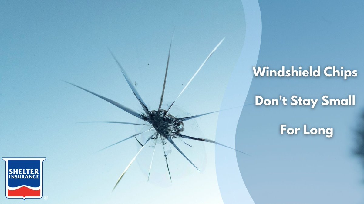 Something to think about…a rock chipped your windshield, but the glass hasn't cracked yet. Do you have coverage to fix the chip? Call and I'll help you check. #shelterinsurance #carinsurancecoverage