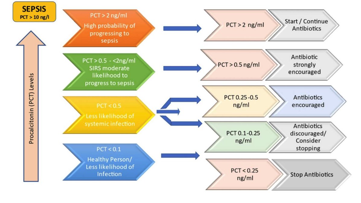 Trending on #ReadbyQxMD

Role of Procalcitonin and C-reactive Protein as Predictors of Sepsis and in Managing Sepsis in Postoperative Patients: A Systematic Review - read.qxmd.com/read/36475186/…

From: @CureusInc <a href="/Safeerakhan1/">Safeera khan</a> @zainalikazmi1 

#Sepsis #MedTwitter