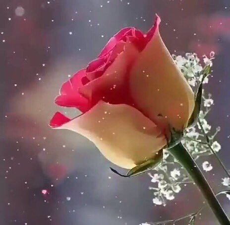 Sh15128424's tweet photo. يا #خاطري لا بـاح صبرك ومليت
مالك عن المقسوم صدھ وحيلھ

إن زان حظك جاب لك ما #تمنيت
وإن شـان خـلا الهينھ مستحيلھ
#بوح_آخر_الليل https://t.co/lQfK2n6wkt