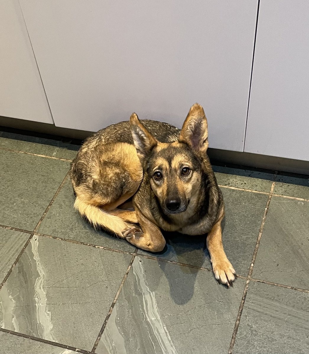 Diane Coyle tweet media