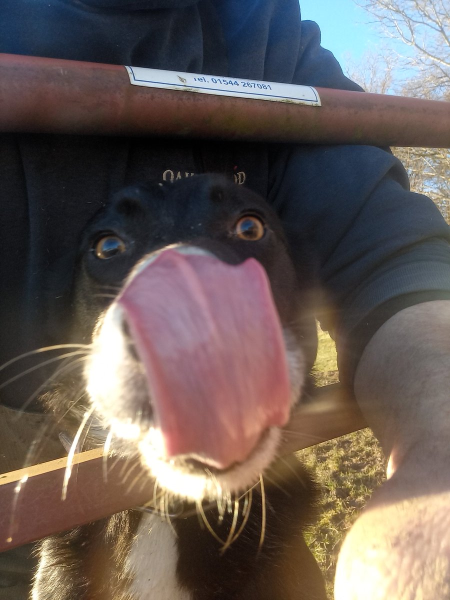 Martin Whitehead (@martthefarm) on Twitter photo 