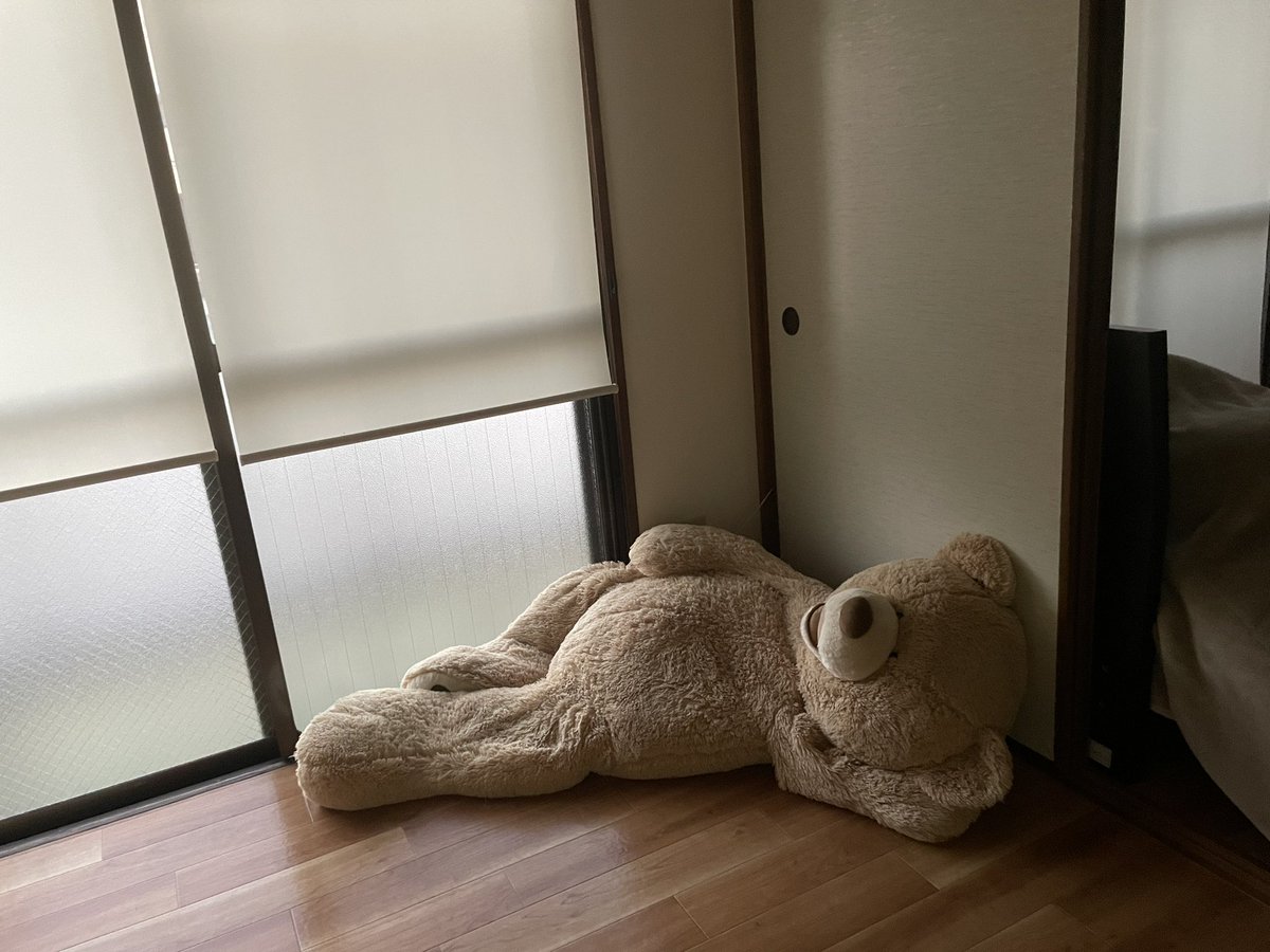 lilya_s's tweet photo. ไผๆฅใฎใ็ถใใใฃใฝใใใณในใใณใฎใใพใ
#teddybear #costco #53inches https://t.co/emlVGNGRYu