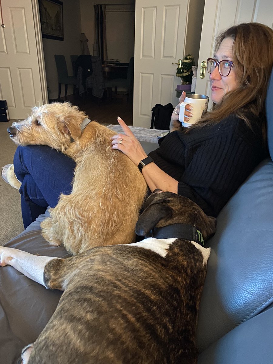 mtm686's tweet photo. PiTBuLlS R ViCiOuS #endbsl @mypitisfamily @OriginalBully #justrustythings #tazio @dublingrowndog @pghgirli https://t.co/cz25DUNnrb