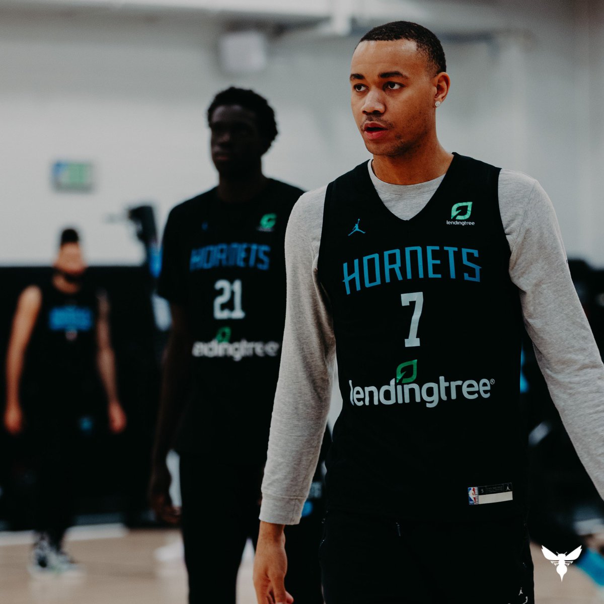 hornets tweet picture