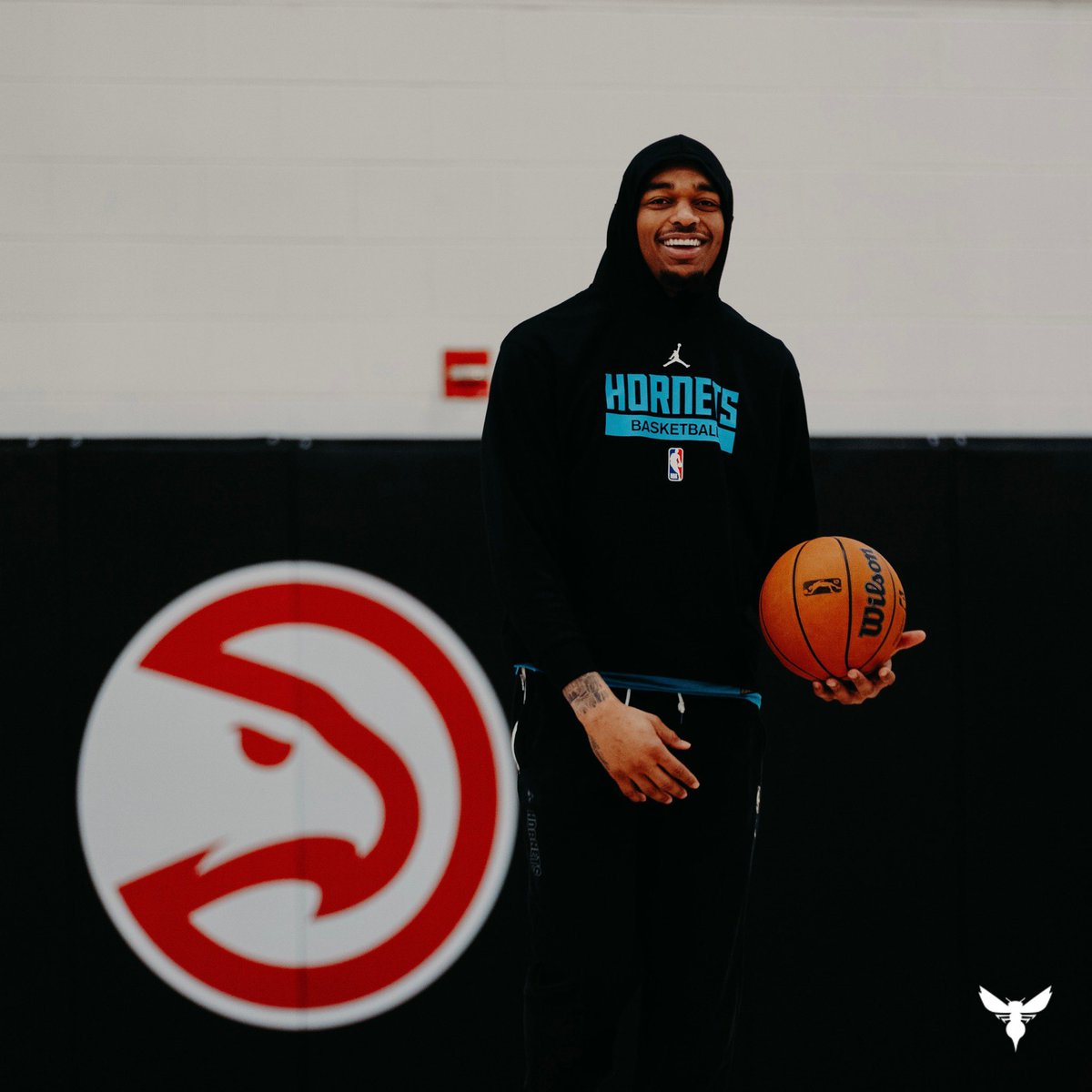 hornets tweet picture