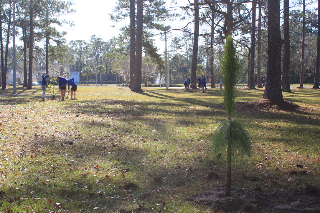 NewsfromJEA's tweet photo. To celebrate Florida Arbor Day, we're planting trees at @FSCJ_Official North Campus π³
#FLArborDay #JEACares #WeDigTrees @greenscapeofjax https://t.co/UHa1ZK6mTu