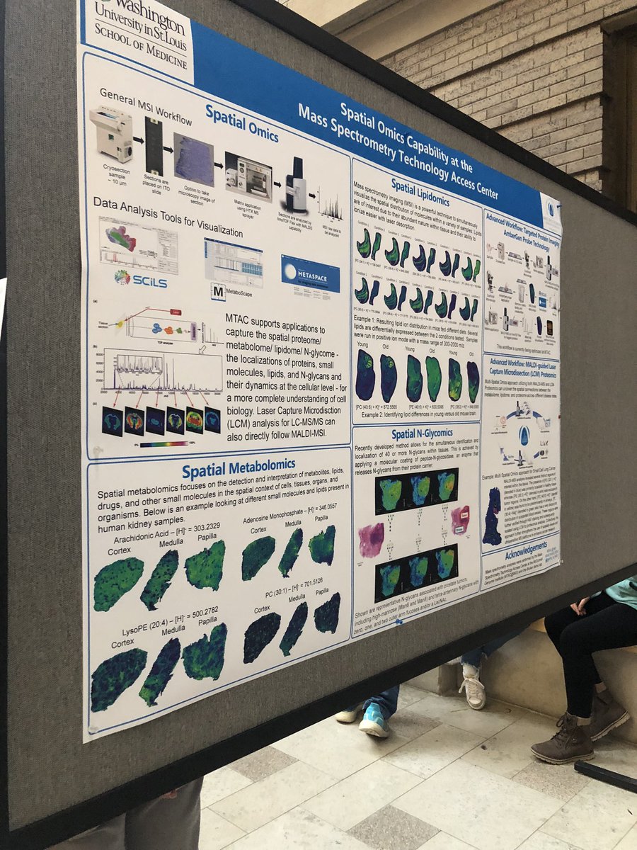 Excited to present our spatial omics capability within the center at the <a href="/WUSM_BMB/">WUSM Biochemistry and Molecular Biophysics</a> poster session!