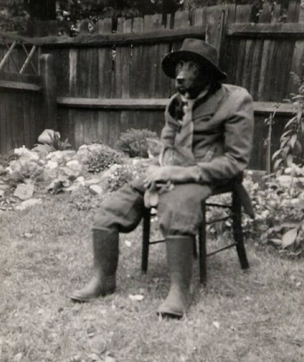 historyinmemes tweet picture