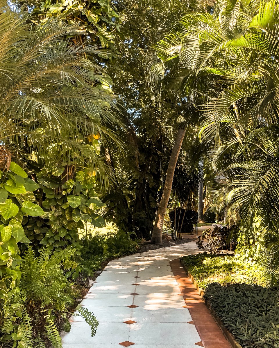 Take in the tranquillity of the abundant greenery that surrounds the hallways. #CasaVelas, where luxury and relaxation are the perfect combination for the getaway of your dreams. #Wellness #HotelBoutique #PuertoVallarta #YourSecretOasis