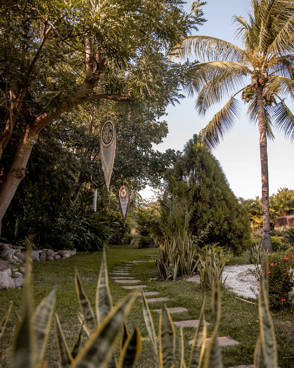 After a morning hike through the local terrain alongside, the brilliant green of the botanical garden through the grove of palm trees is a rewarding sight. A destination of serenity awaits those that enter #CasaVelas’s botanical garden. #BotanicalGarden #GardenInspiration