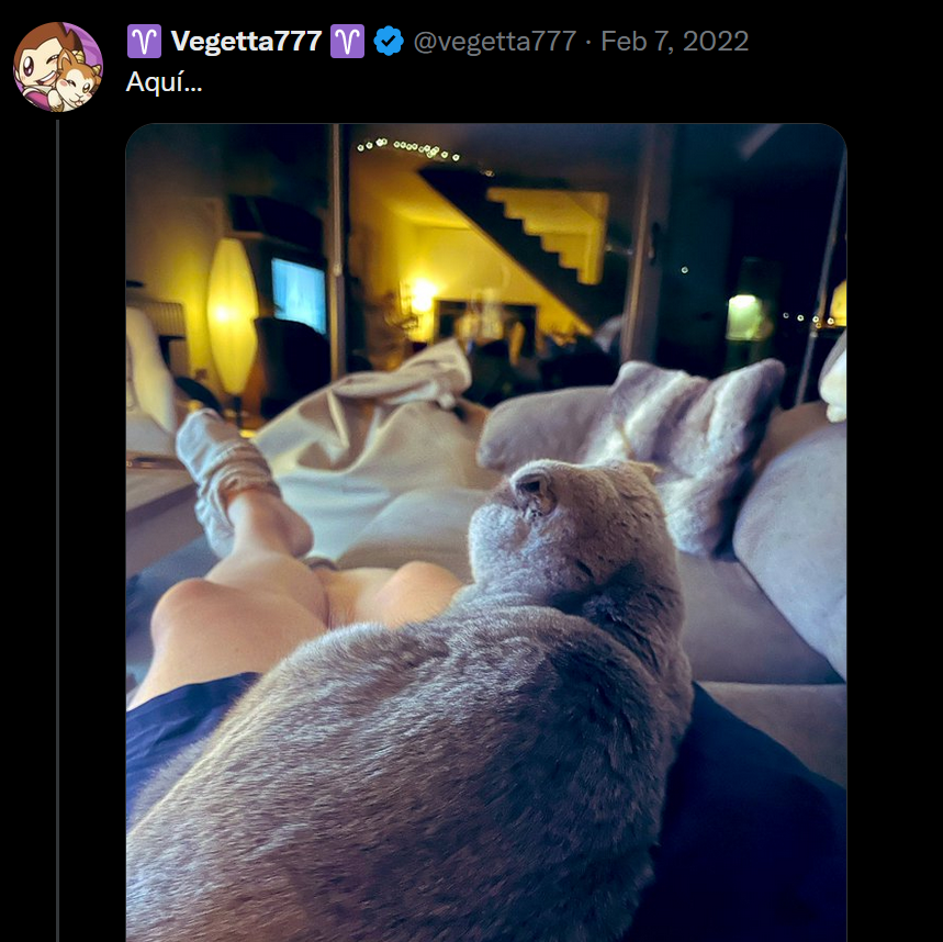rubegettarchive's tweet photo. Un año de esto... https://t.co/39fJULCxAZ