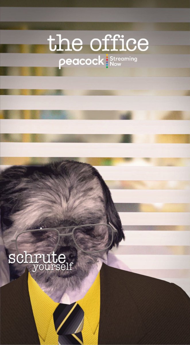 PrincessValyssa's tweet photo. Proud to present to you, Lottie Schrute @theofficetv https://t.co/OEtjFJHSzr