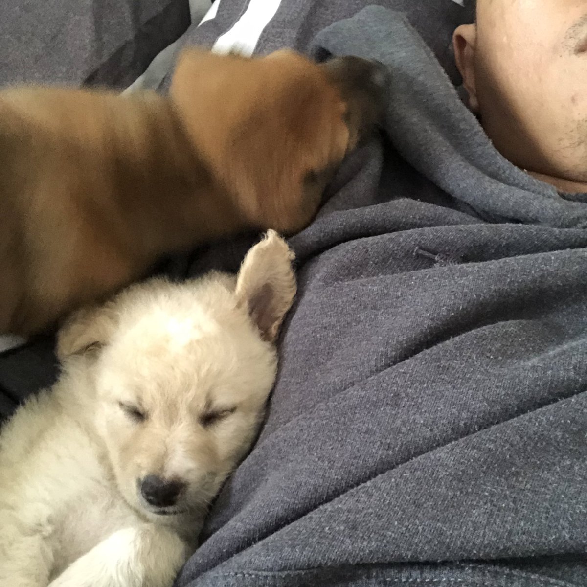 Mahirap na ulit matulog.