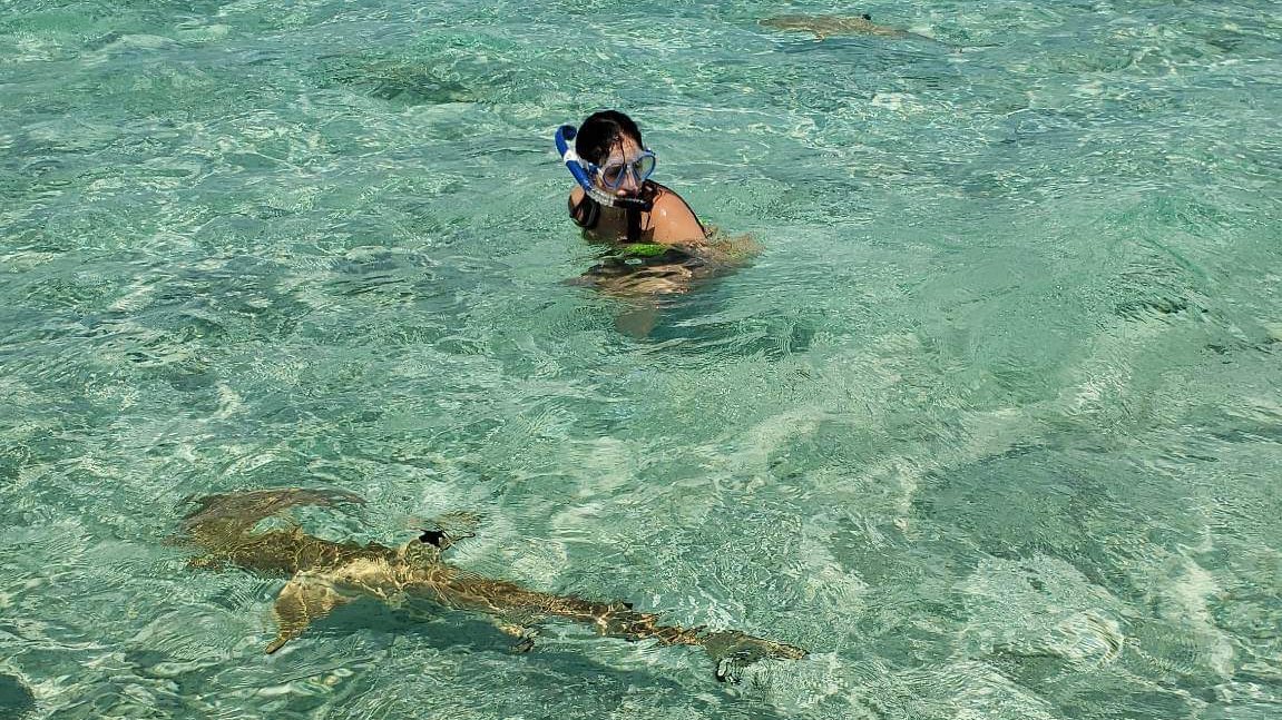Baby shark doot doo
